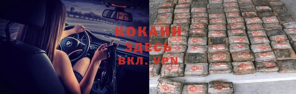 индика Алексеевка