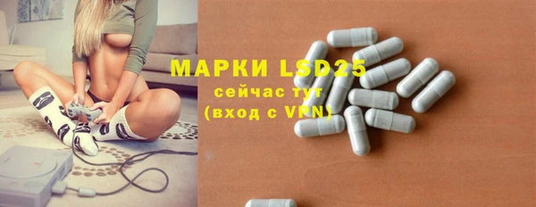 индика Алексеевка