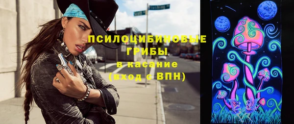 индика Алексеевка